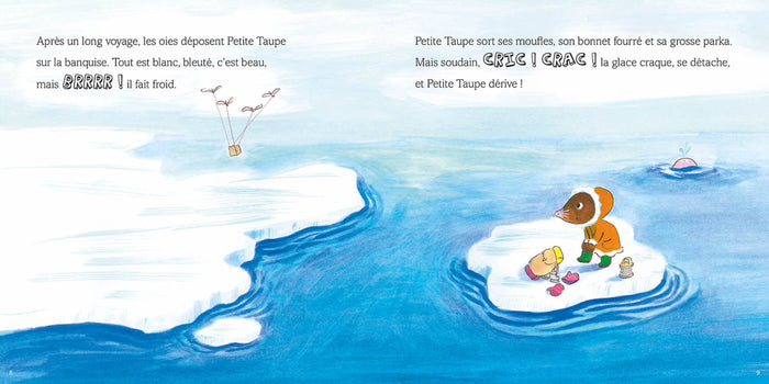 Petite taupe et l'aventure du Grand Nord