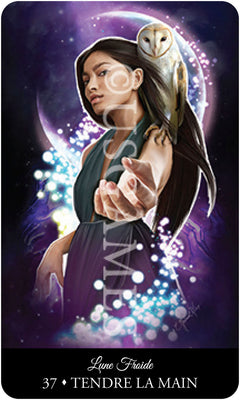 Coffret l'oracle de l'heure des sorcières