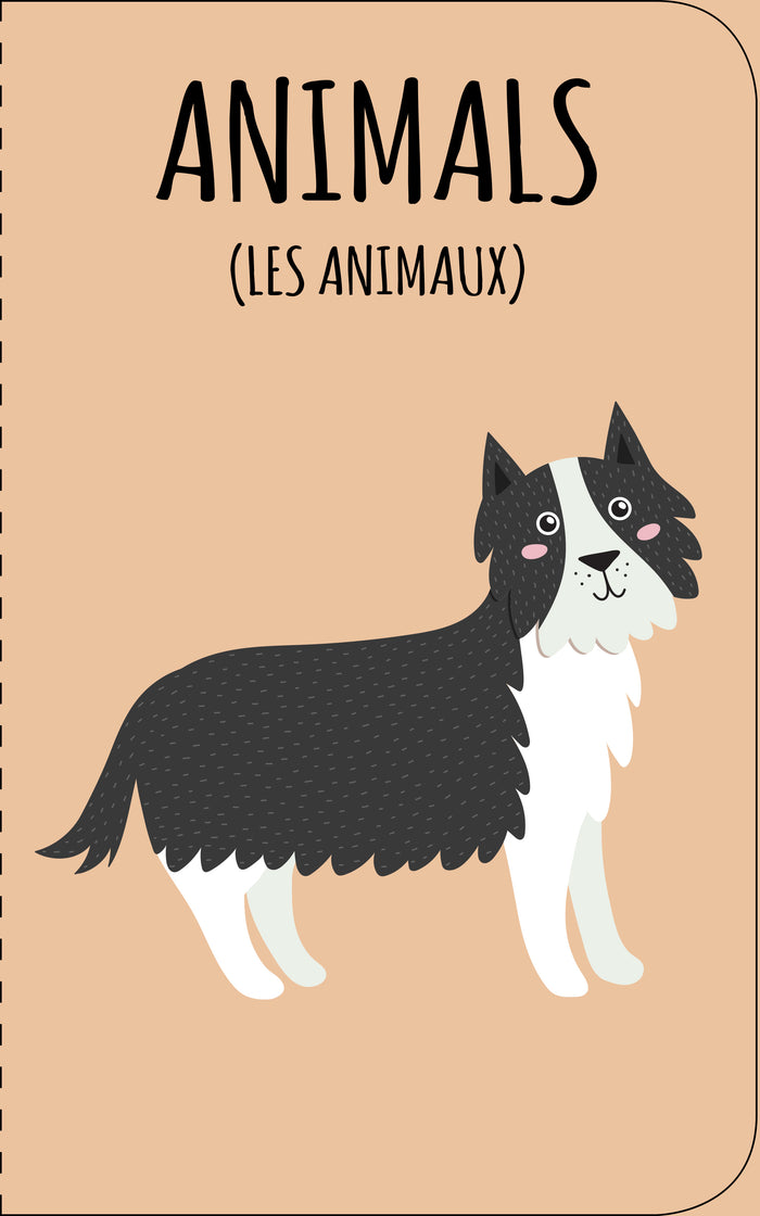 Ma petite bibliothèque - J'apprends l'anglais