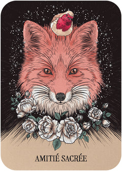 Coffret Le Petit oracle de l'amour