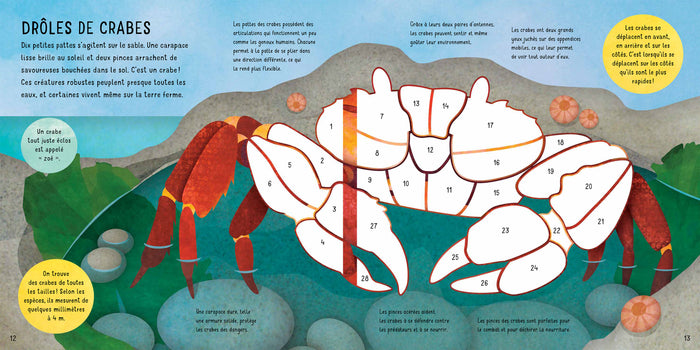 Les Animaux marins - 300 stickers repositionnables