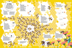 Chorégraphies animales