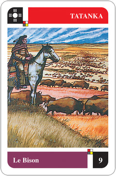 La divination chamanique sioux - Cartes Oracle