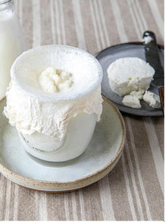 fabriquer son fromage maison - techniques et recettes pour débuter