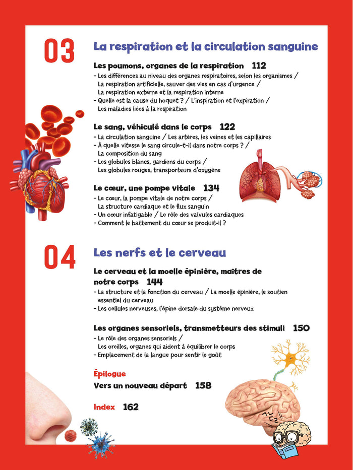 Tout savoir en BD sur Le corps humain