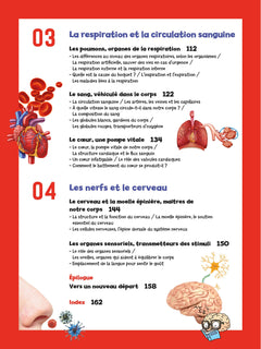 Tout savoir en BD sur Le corps humain