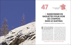 Les plus beaux lieux pour voir la vie sauvage en France