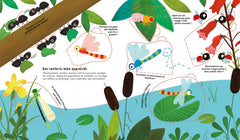 Les insectes