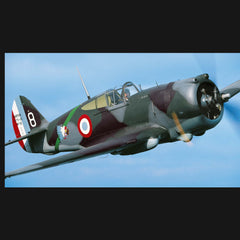 Warbirds - Les avions militaires de collection en vol