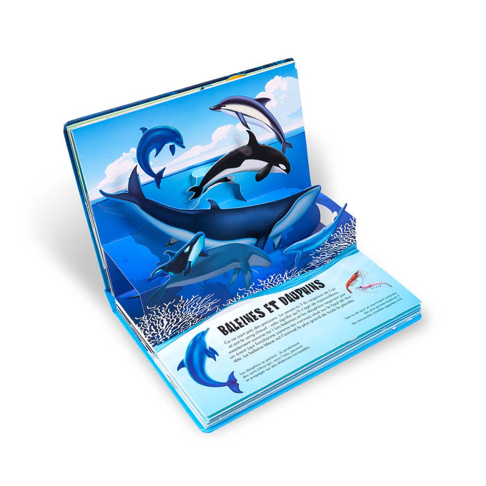 La nature en pop-up - Mer