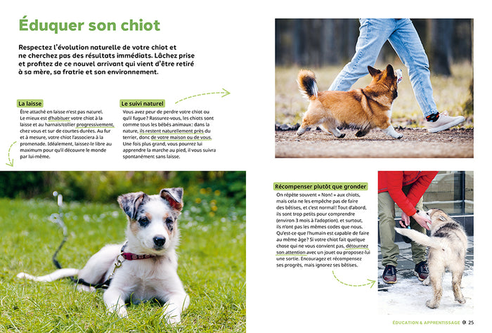 Pourquoi mon chien fait-il ça?