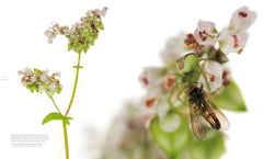 Histoires surnaturelles