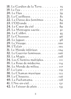 L'oracle pocket du chaman mystique