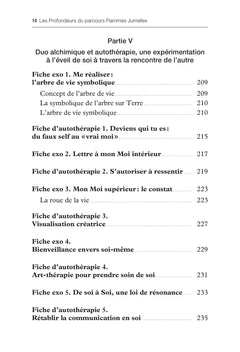 Les profondeurs du parcours Flammes Jumelles - Manuel d'incarnation du duo alchimique