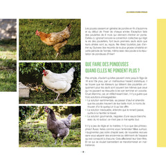 J'élèverais bien des poules