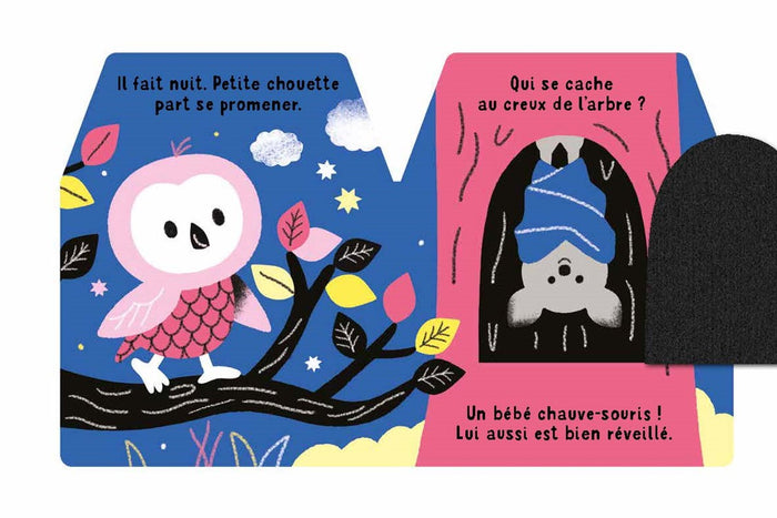 Cache-cache petite chouette