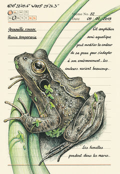 Forêt secrète
