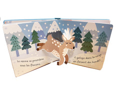 Mon petit pop-up des neiges