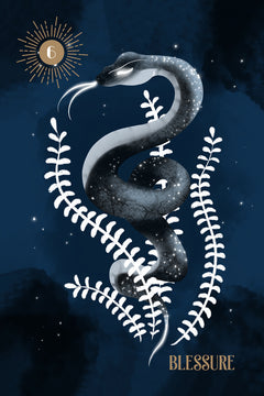 L'oracle de l'ombre et de la lumière