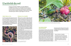 Les plantes bio-indicatrices et autres indicateurs pour comprendre son jardin