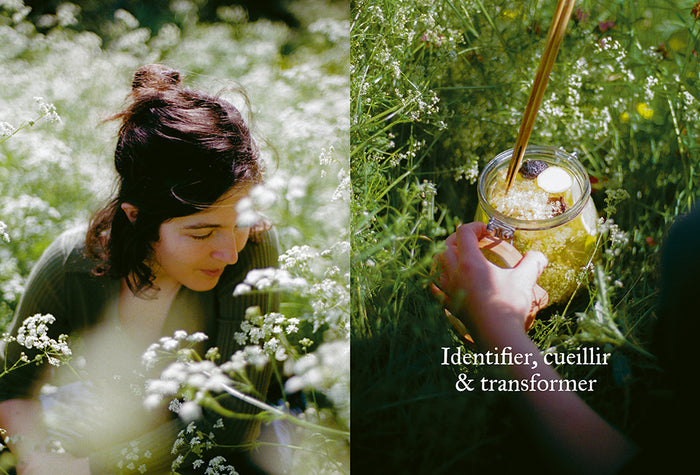 Cuisiner les plantes sauvages du jardin