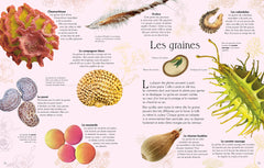 L'anthologie illustrée de la vie microscopique