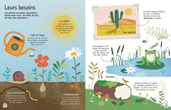 Les plantes