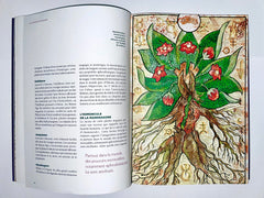 L'Herbier magique de la Sorcière - Incantations & Rituels