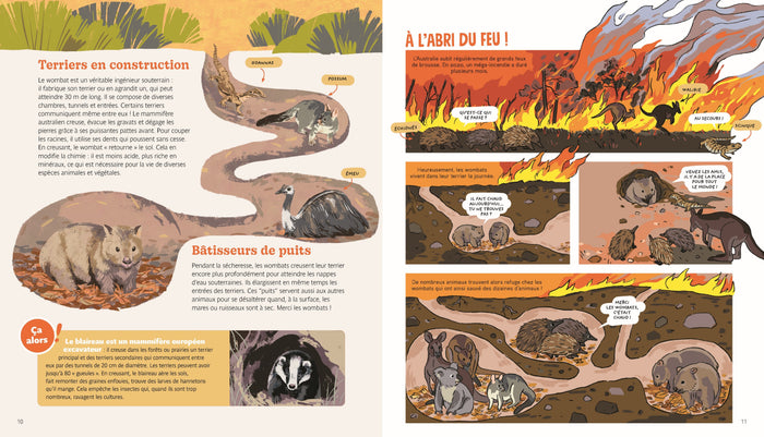 Nos héros les animaux