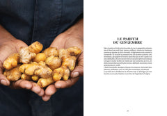 Le Gingembre en parfumerie