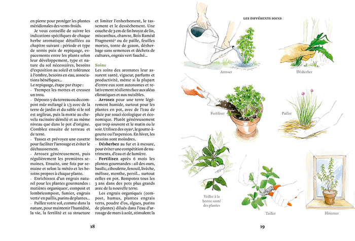 Les herbes aromatiques