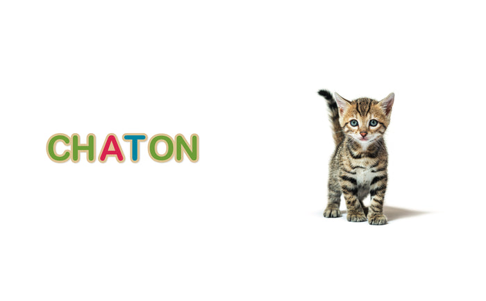 Mon imagier - 75 mots à lire dès 3 ans