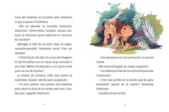 Le clan du chaudron : Le concours de mocheté