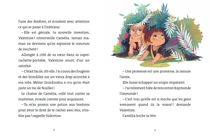 Le clan du chaudron : Le concours de mocheté