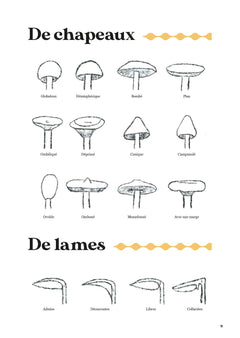 Comment trouver des champignons ?