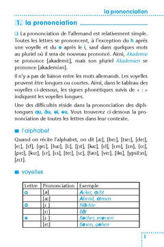 Maîtriser l'allemand - Un guide tout en 1 : grammaire, difficultés, conjugaison