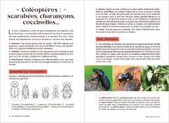 Les carnets du scarabée - Insectes