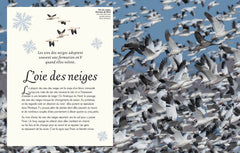 L'anthologie illustrée des oiseaux merveilleux