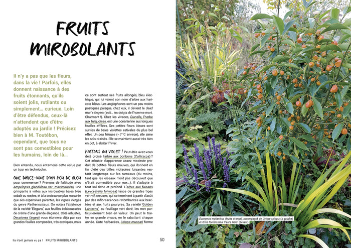 Les 400 plantes que vous ne verrez pas dans le jardin de votre voisin