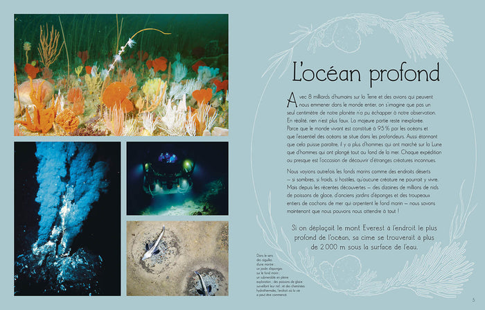 L'anthologie illustrée du monde aquatique