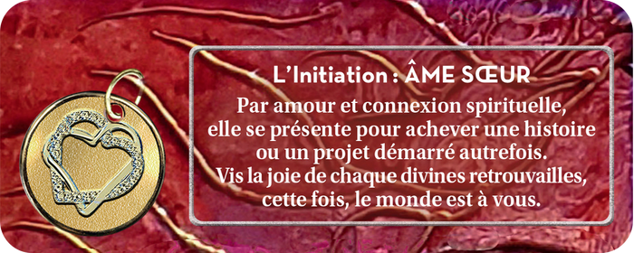 Le petit oracle de la mission d'âme