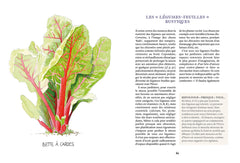 Produire des légumes en hiver - même sans abri
