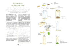 Les herbes aromatiques