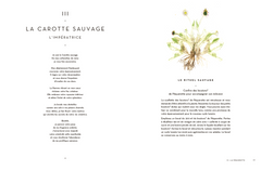 Le tarot des plantes sauvages