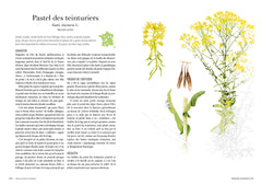 Le chemin des herbes