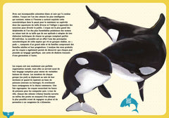 Guide des requins et baleines et autres géants de la mer
