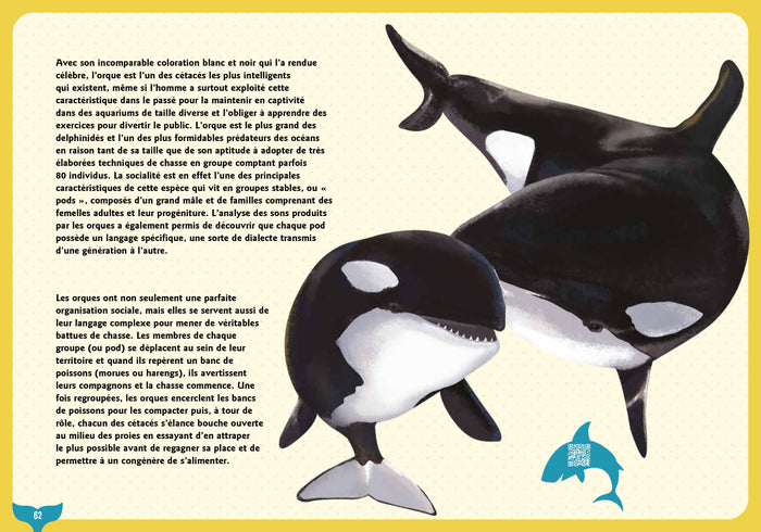 Guide des requins et baleines et autres géants de la mer