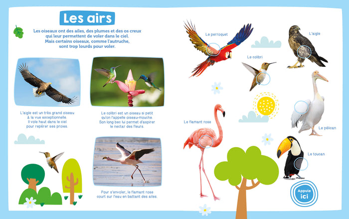 Mon imagier sonore - Les animaux sauvages