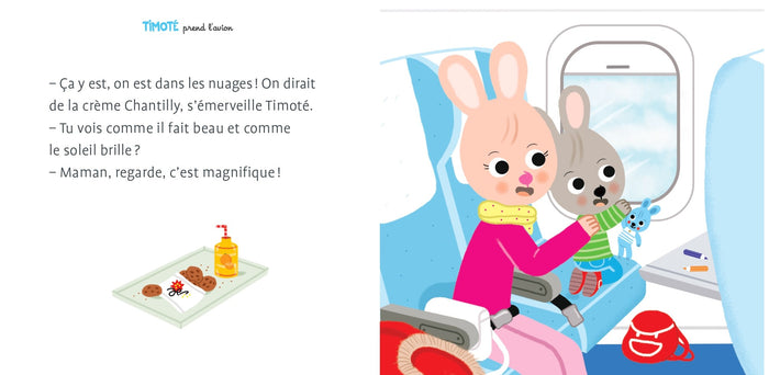 Timoté prend l'avion