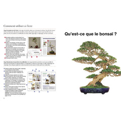 Bonsaï - Leçons et conseils du grand Maître japonais